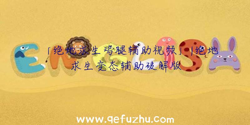 「绝地求生鸡腿辅助视频」|绝地求生变态辅助破解版